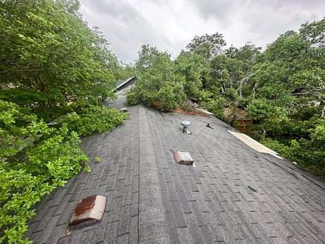 Roof Pictures