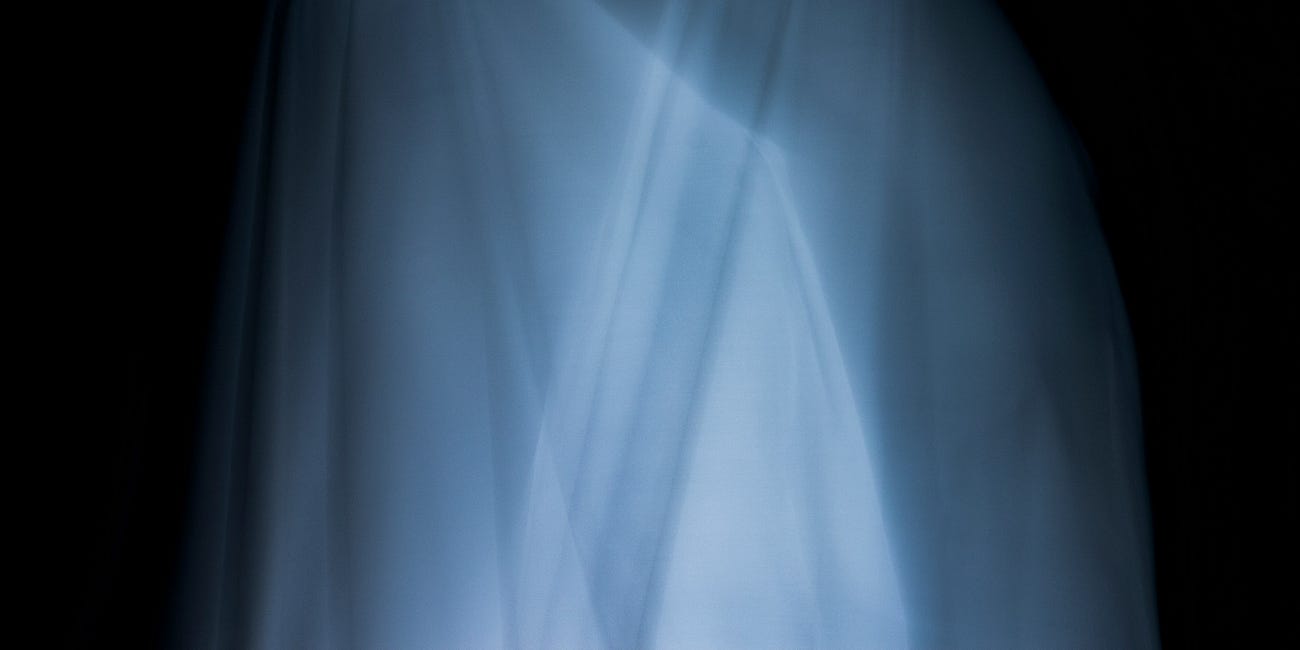 The Ghost in the Machine