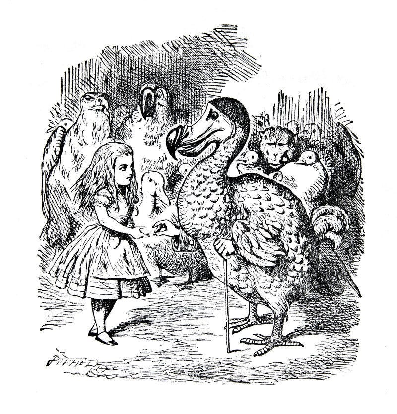 Alice in Wonderland dodo - Atlas Obscura