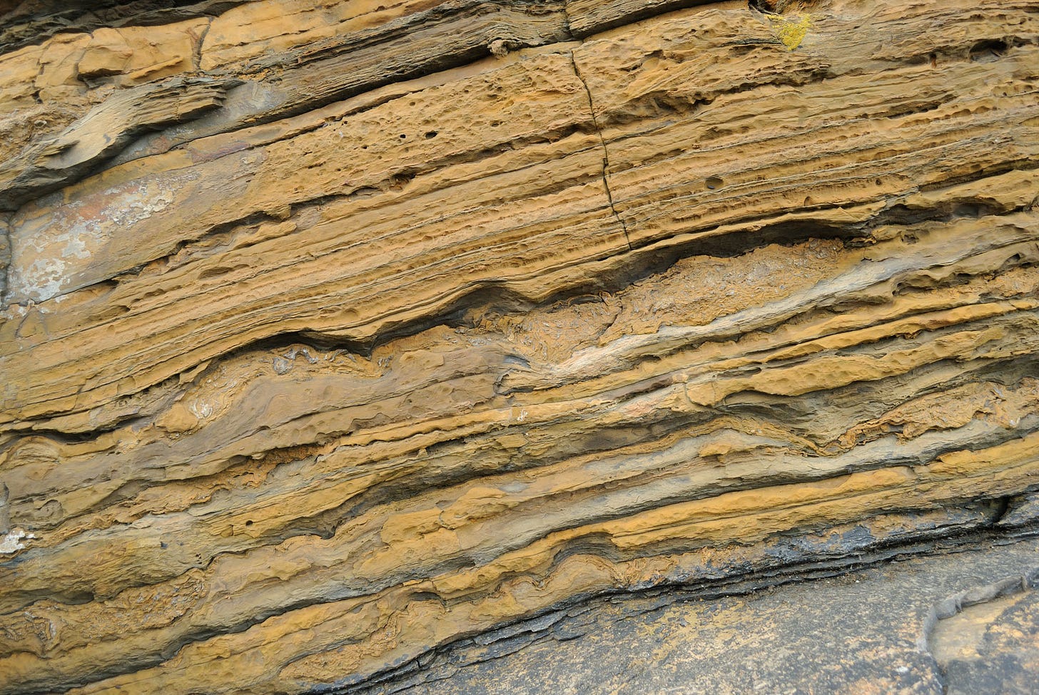 stripy yellow rock with embedded blobs