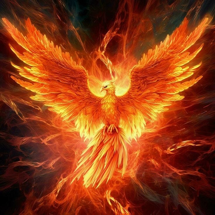 The Phoenix rising 