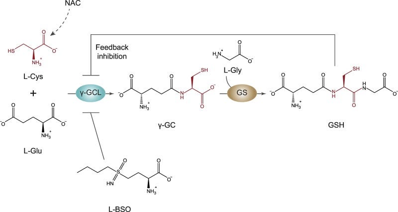 Fig. 3 Fig. 3