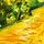 Riverbed of Gold