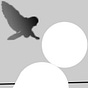 Stacey Youdin's avatar