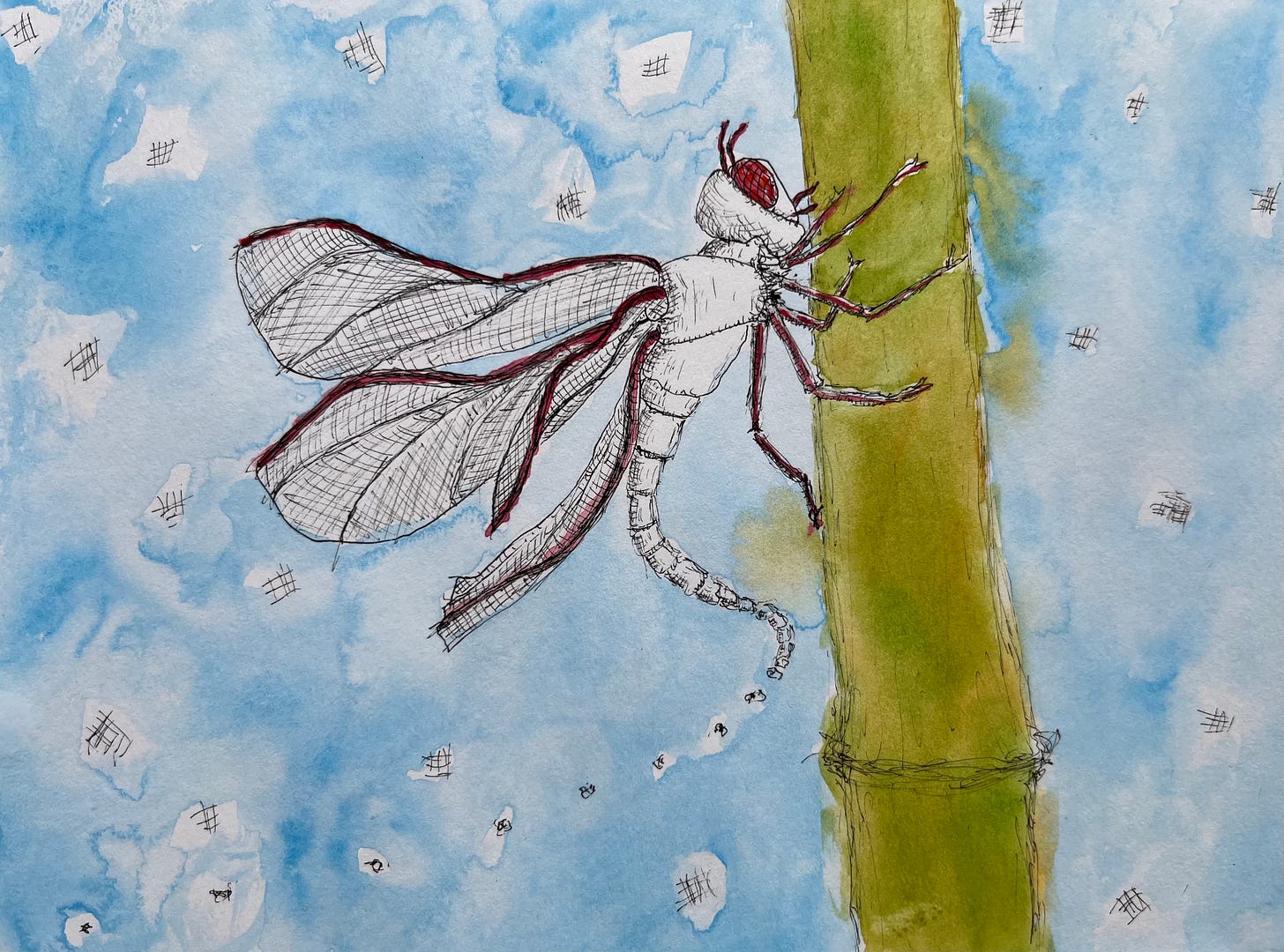 a dragonfly on a bamboo reed with a blue sky