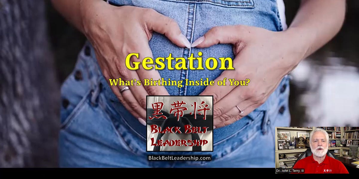Gestation: Pregnant With Possibility