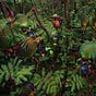 James Scully's avatar