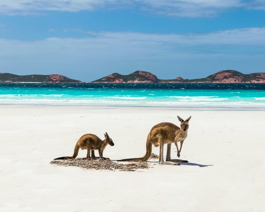 The 10 Best Beaches in Australia (With Maps)