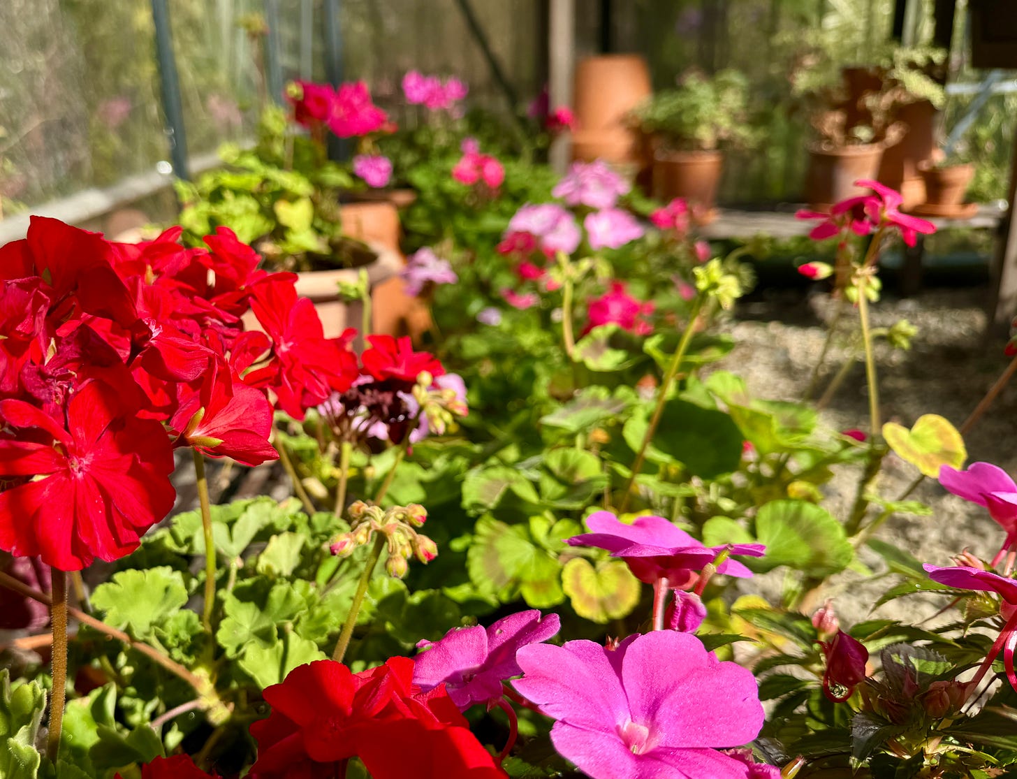 Every color together is a good way to end the autumn, I think.