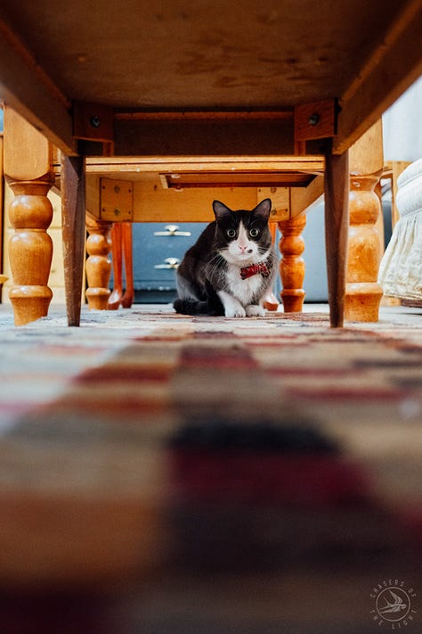 Fuji photographs of life in Montana by Tyler Knott Gregson