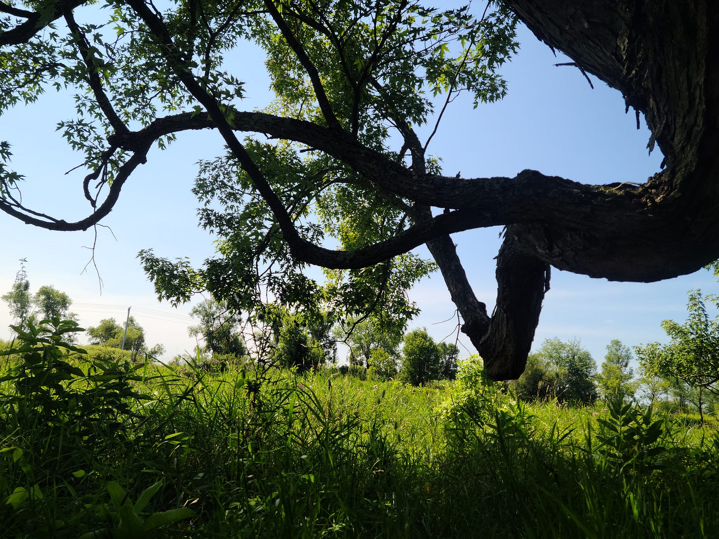 So sturdy, so twisty, but we are short and weak and scared of lacerations 