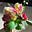 Beverly BURKE's avatar