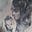 Bea Littlefeather's avatar