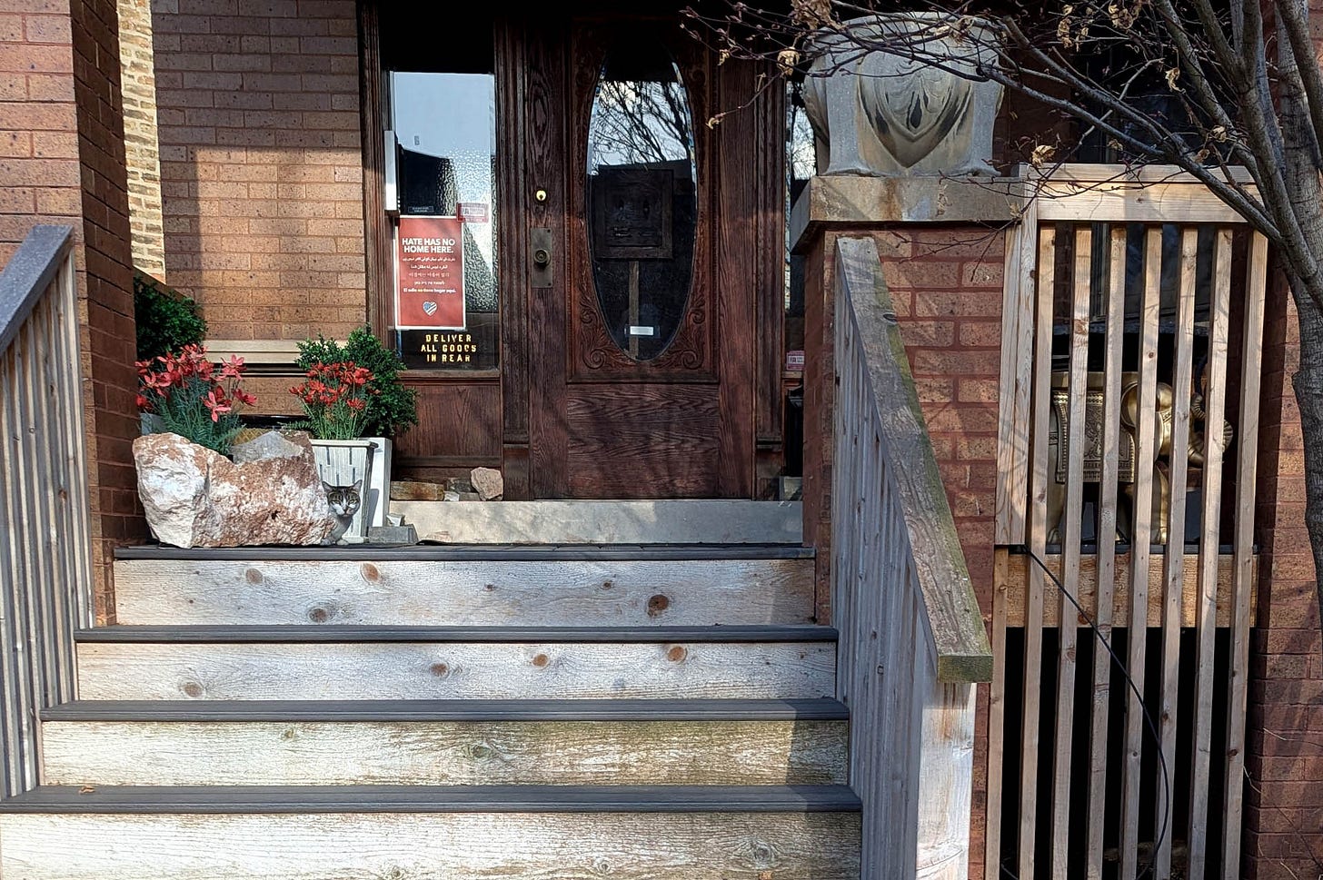 A white cat with gray markings hides on a wooden stoop