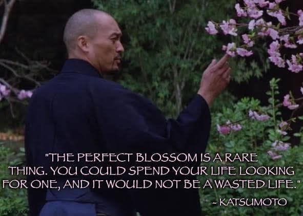 The Last Samurai: Warrior Quotes The Last Samurai: Warrior Quotes