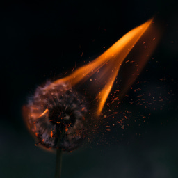 Creative Embers with Ellen Franklyn-Carr