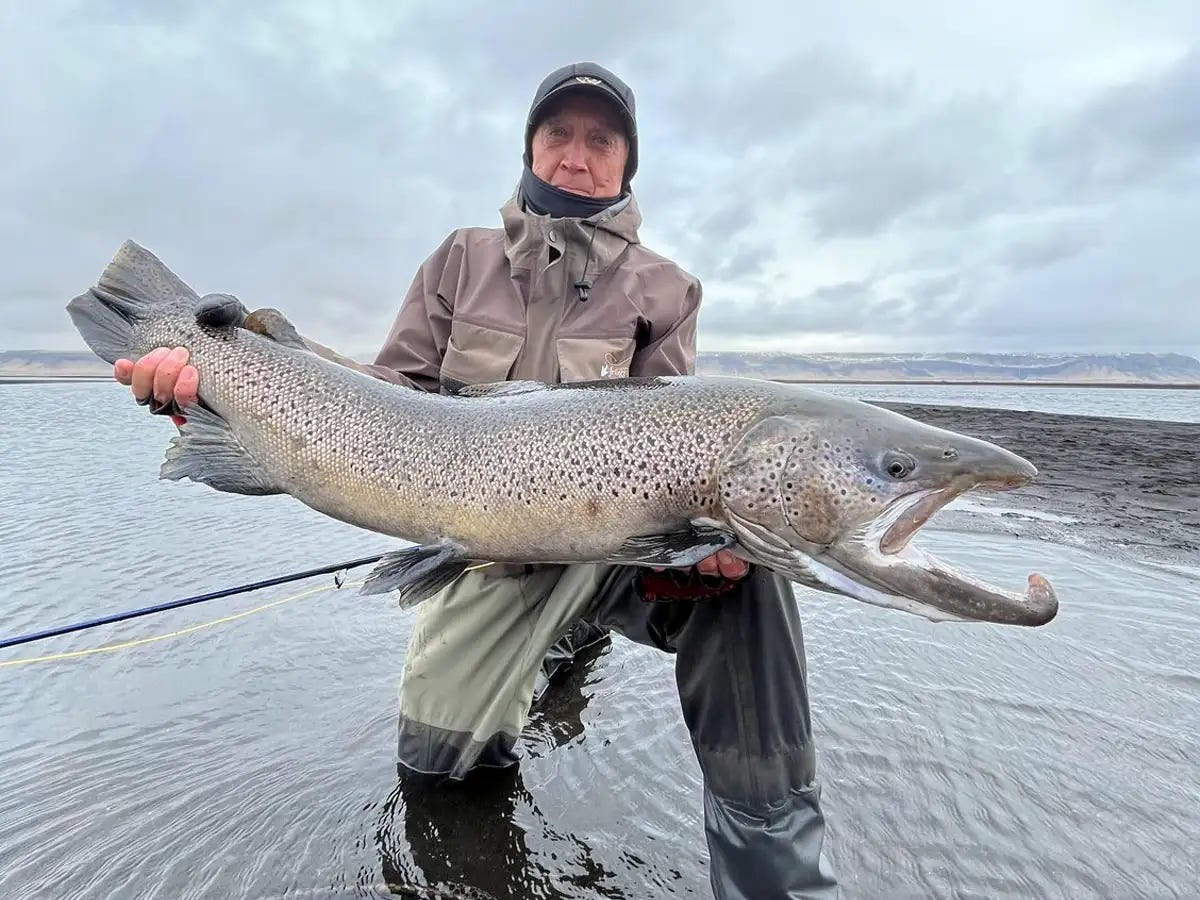 Fly Fishing Iceland for world-class sea-run browns, stay at Battle Hill Lodge.