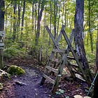 Bruce Trail Hike-a-Thon Runs Through May, With Donations Matched