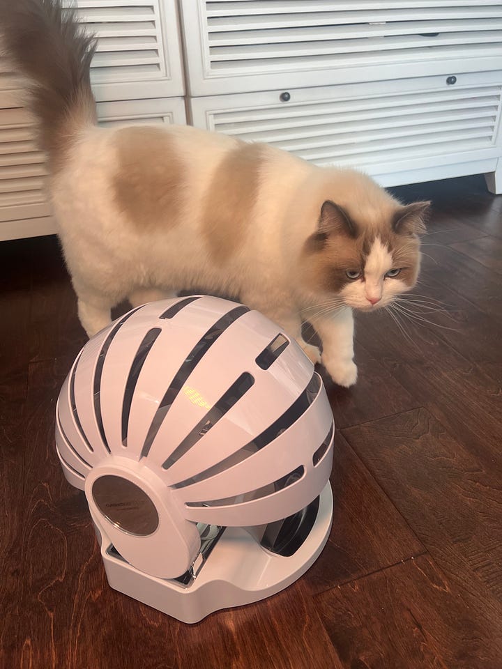 CurrentBody Skin Hair Regrowth LED helmet