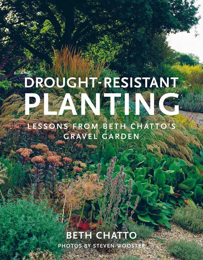 beth chattos book
