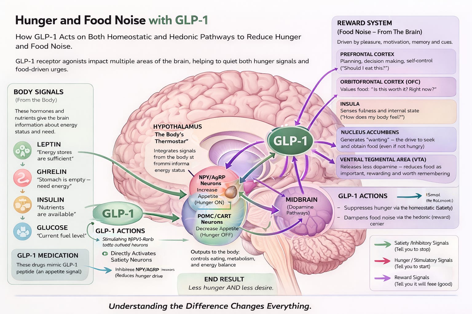 maintain weightloss from glp-1 slidell Can you Lose Weight Without a GLP-1? How I lost Over 100 Pounds, No GLP-1