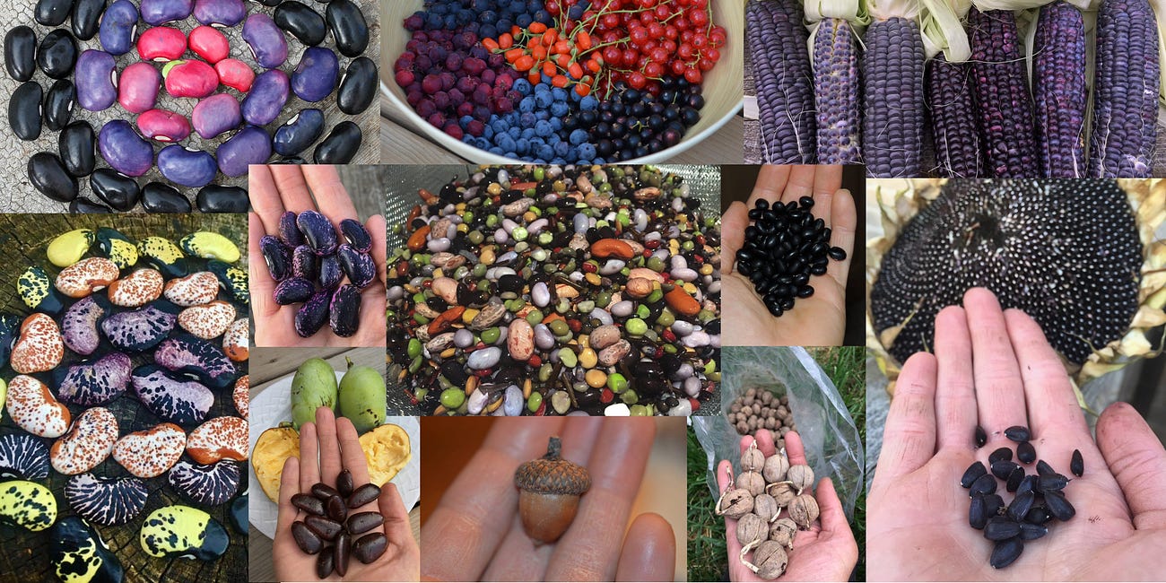 Regenerative Gardening Seed/Seedling/Tree Sources 2026 