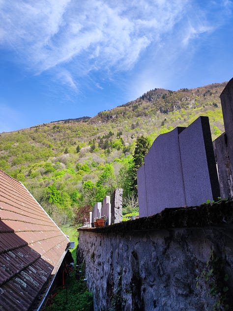 The same view from my study window, from April to June: there is the edge of the cemetery, a workshop roof, and the wooded lower slopes of a mountain, with crags and rock outcrops. The greening of the tree leaves is clear in these images, the colour spreading higher up the mountain with each photograph until, by June, all is green and vibrant.