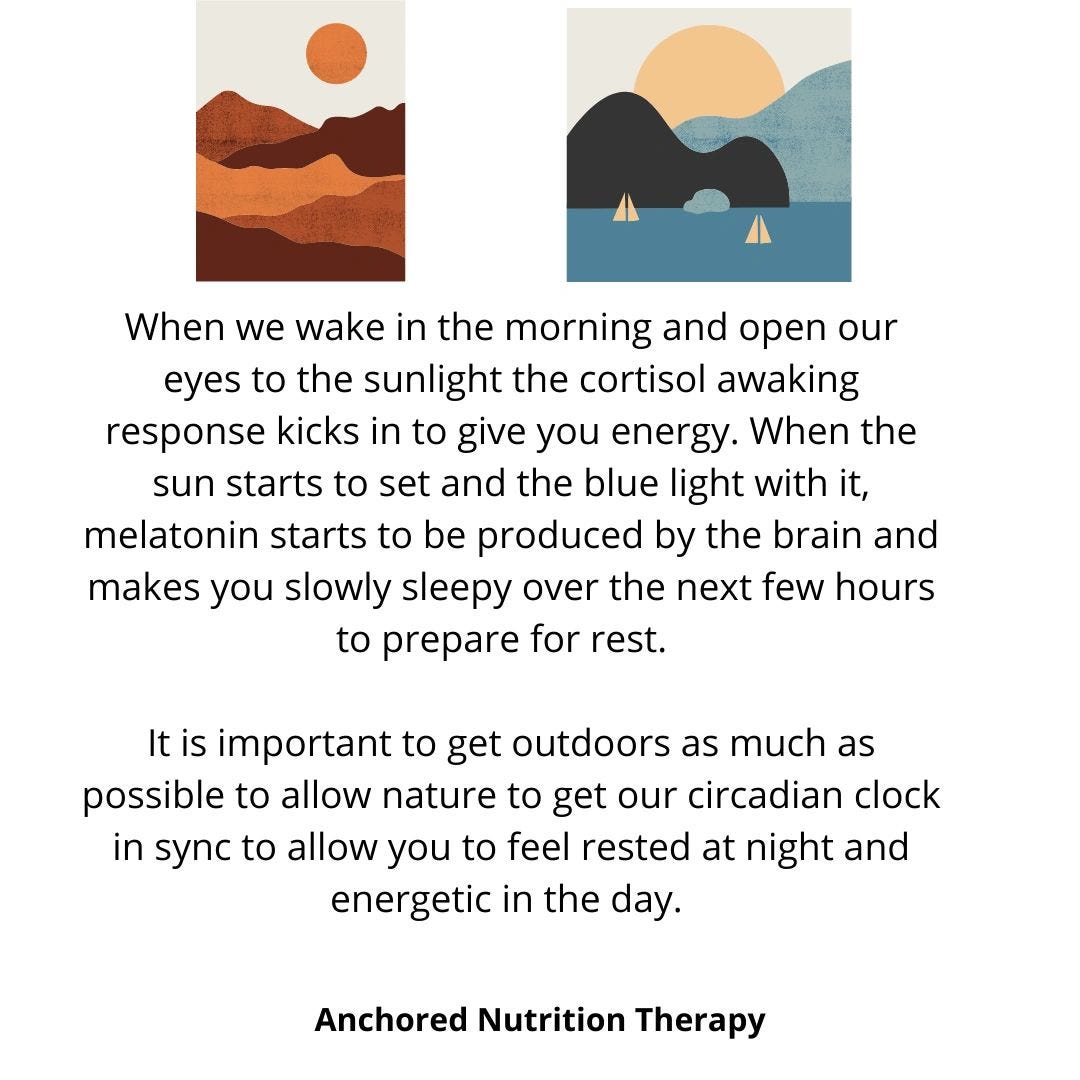 Circadian Rhythm
