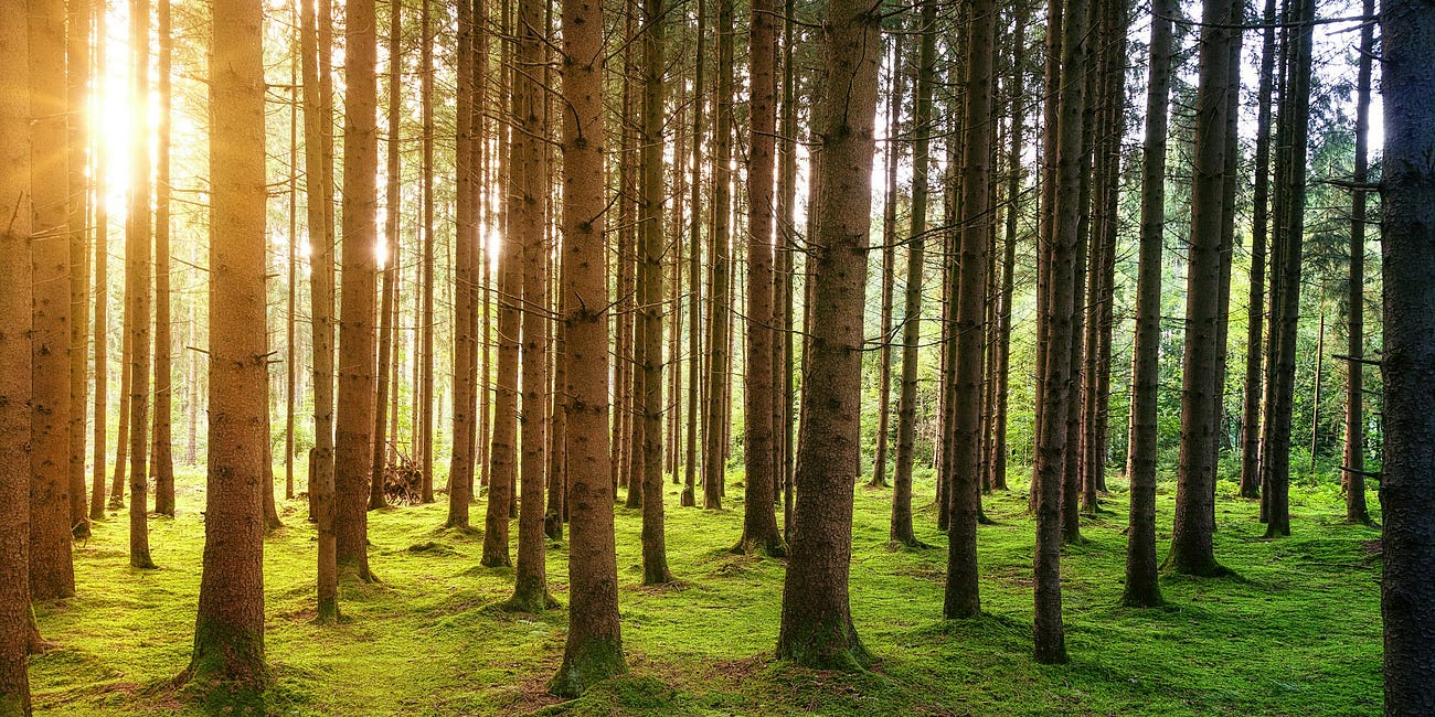 His Great Love for Us