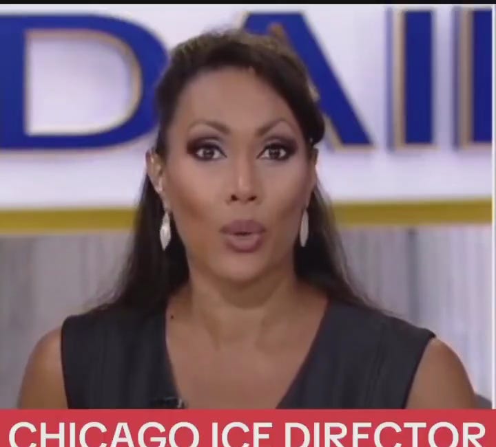 ICE Agents Can Now Be Arrested in Chicago