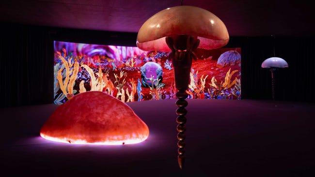 Installation dans un musée, représentant des méduses géantes et rosées