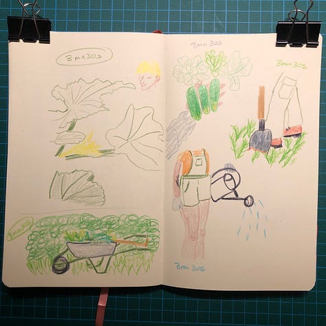 Photos des cinq doubles-pages de mon sketchbook où j’ai dessiné des scènes de potager en animant la session live sur ma chaîne Youtube.
