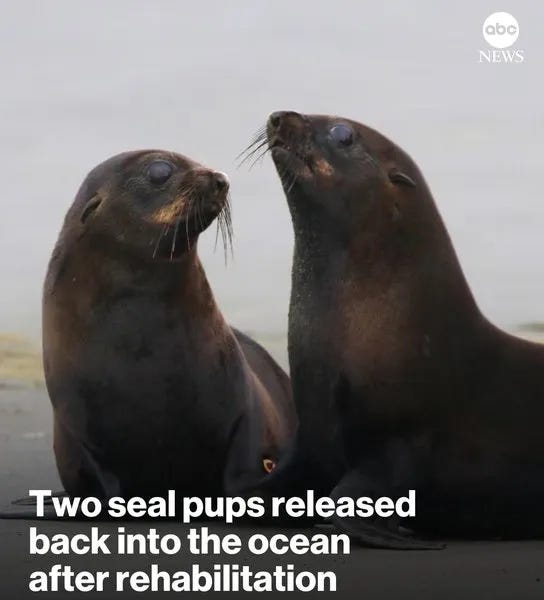 Highlights of the Week