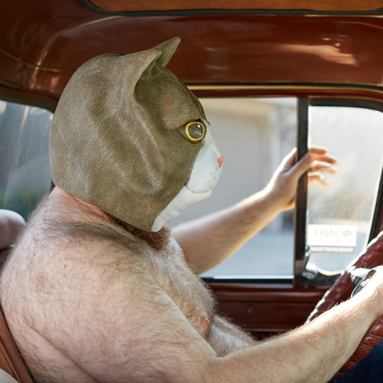 The Year of Magical Drinking