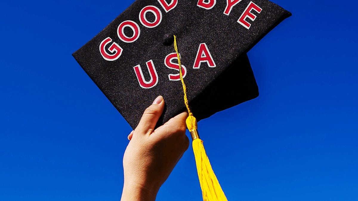 Trump Is Making America Stupider