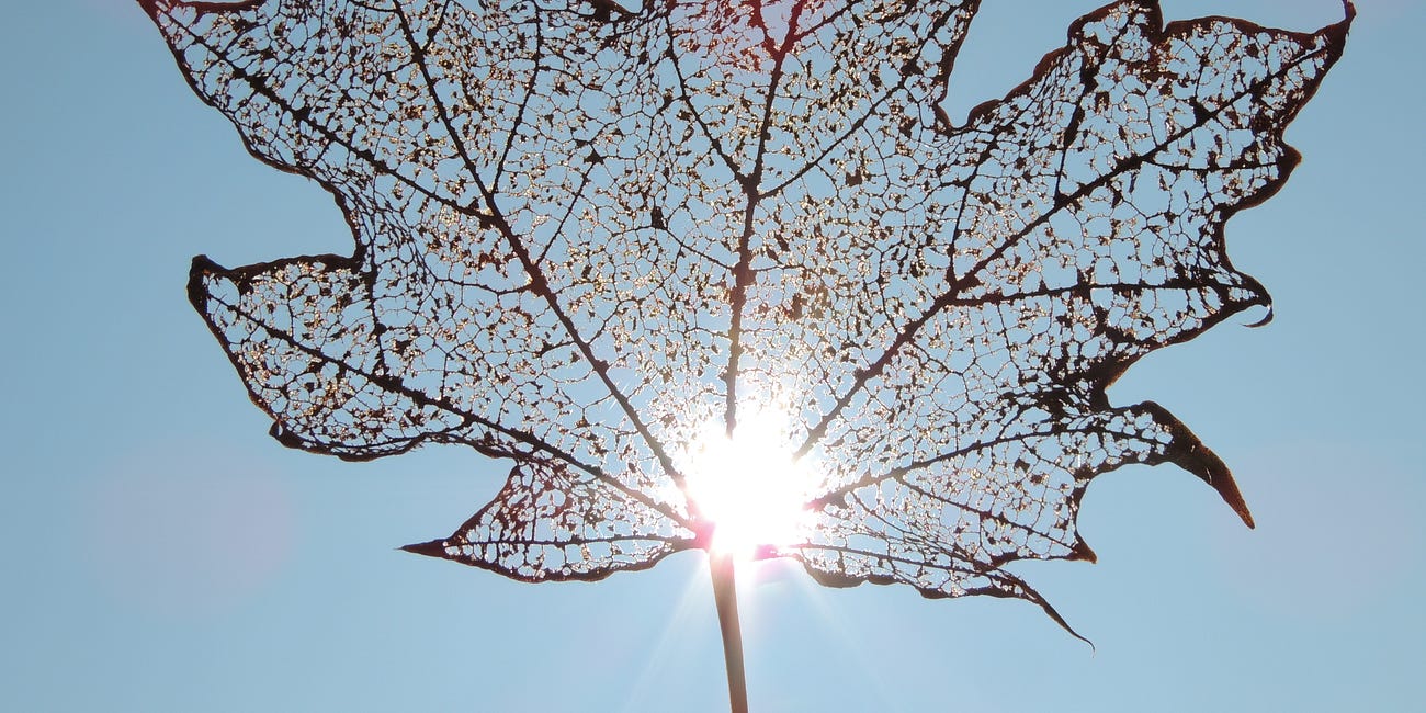 October's Optimism