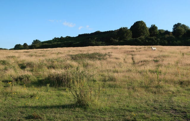 Field below Salthouse Heath