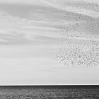 Silly Little Poems - Vol 4