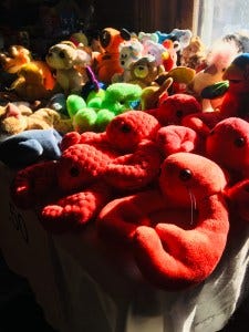 IMG_8565