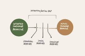 The Sustainable Intention/Action gap ...