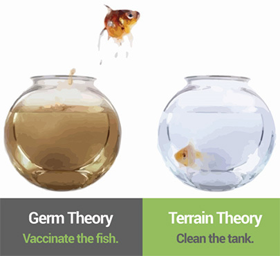 Is it really the germs - the real reason why we get sick