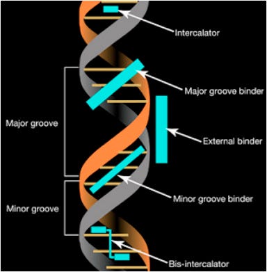 Fluorescent cyanine dyes for the quantification of low amounts of dsDNA - ScienceDirect Fluorescent cyanine dyes for the quantification of low amounts of dsDNA - ScienceDirect