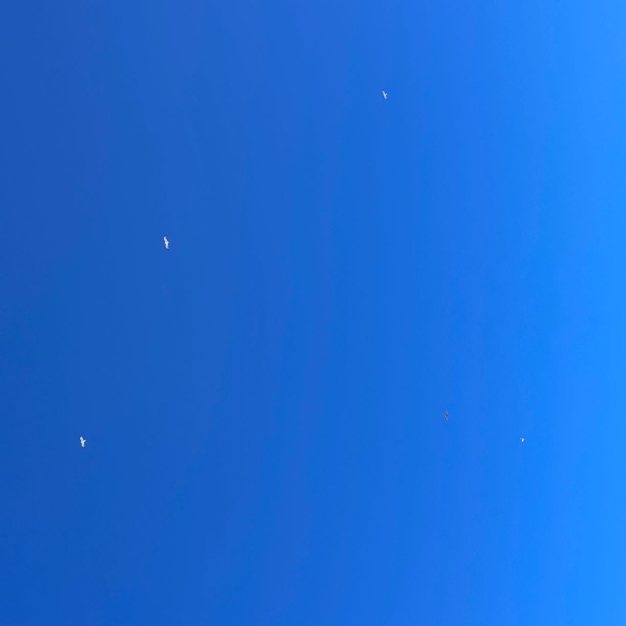 Die Regenschirme sind nicht zum Spielen da