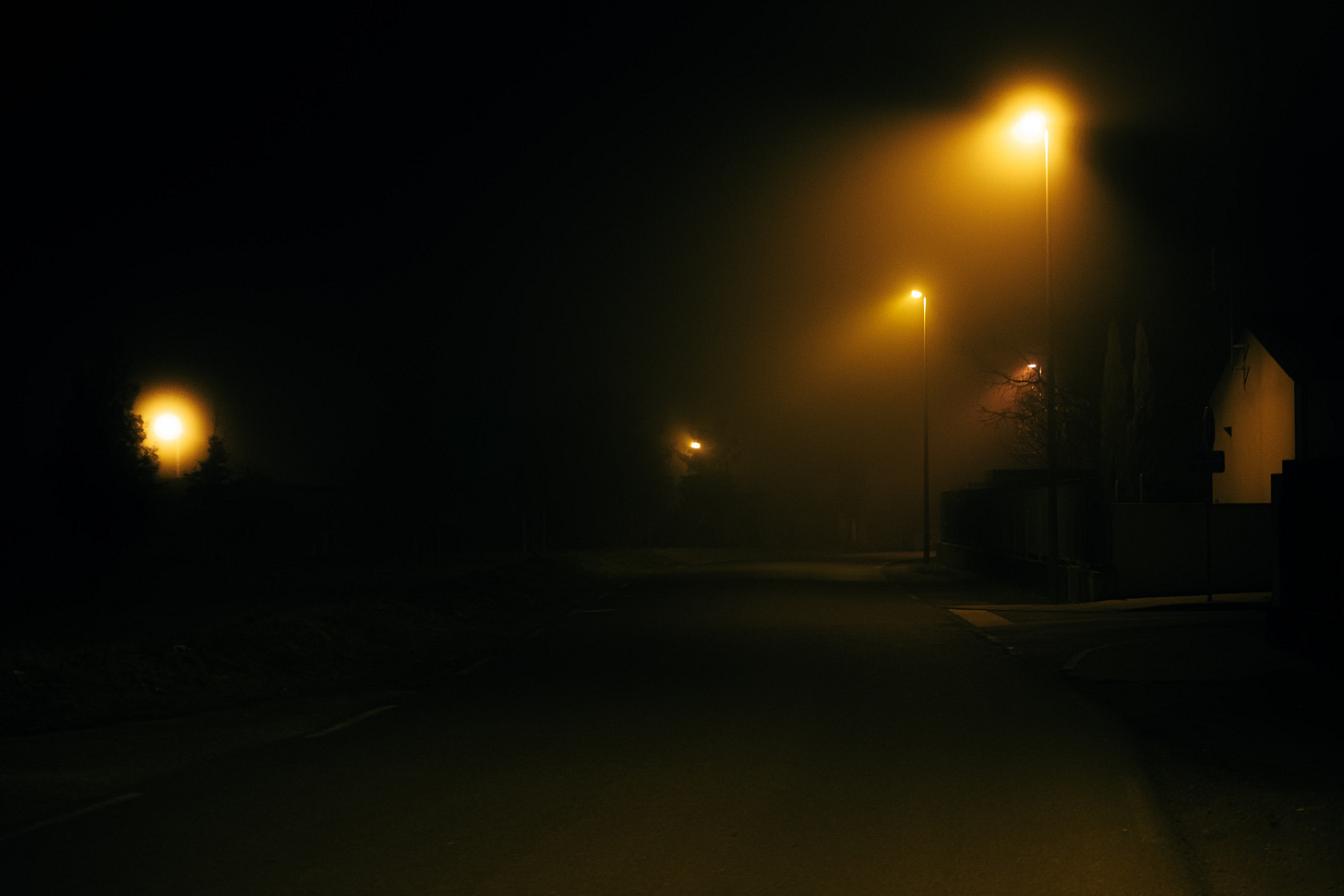 In the mi(d)st of the night. Photo by Simon Grass.