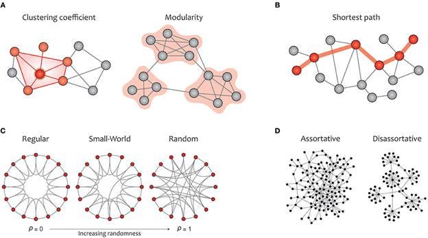 Frontiers | Application of Graph Theory for Identifying ...