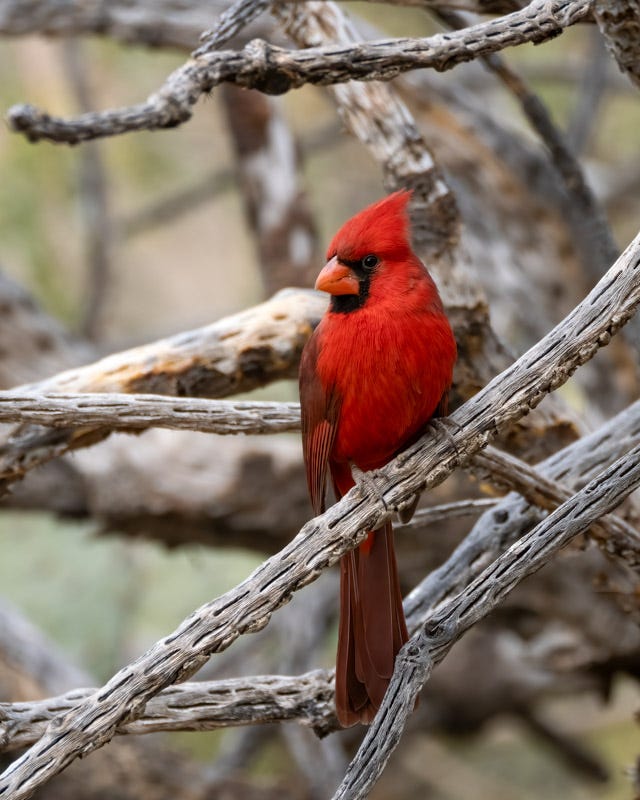 20250127-MBY-65-Edit.jpg 20250127-MBY-65-Edit.jpg