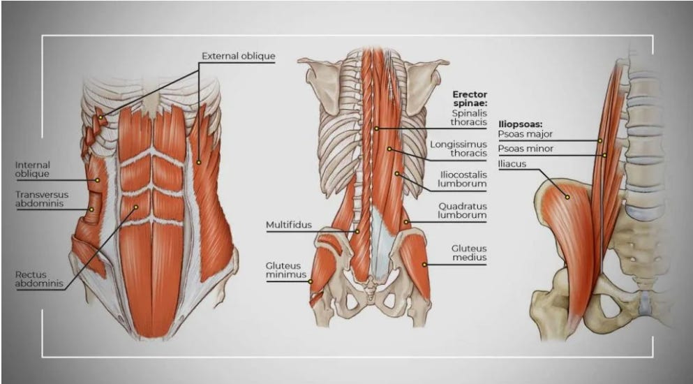 5 Essentials For a Stronger Core - by Patryk Piekarczyk