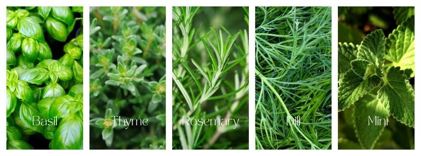herb grid