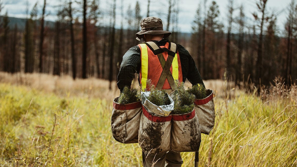 Can Abundance Include Nature?