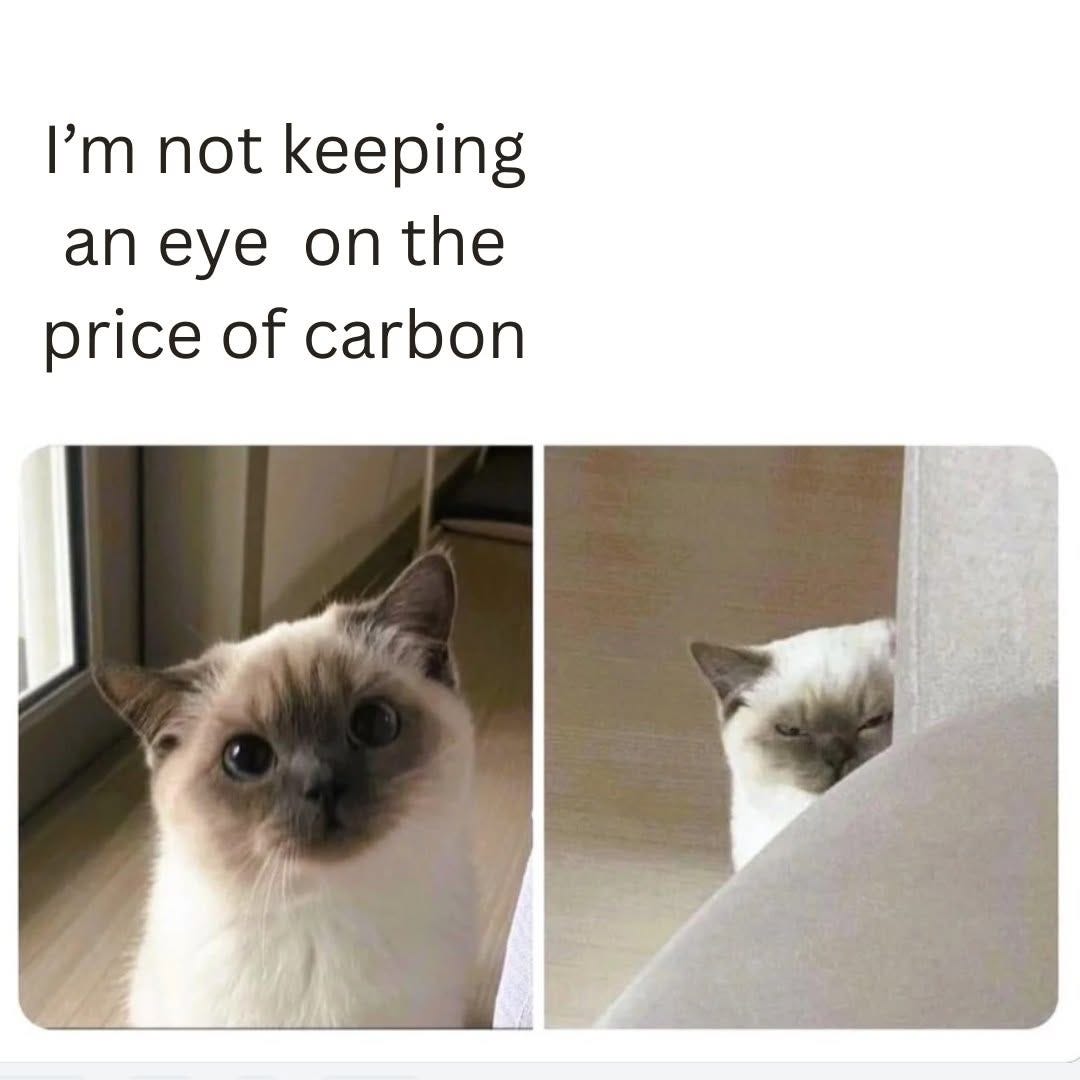 Text reading "I'm not keeping an eye on the price of carbon" above two photos of a Siamese cat, first staring, then peeking around a sofa.